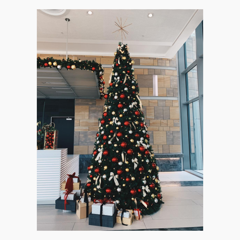 Christmas Tree - 4m Formal Conical