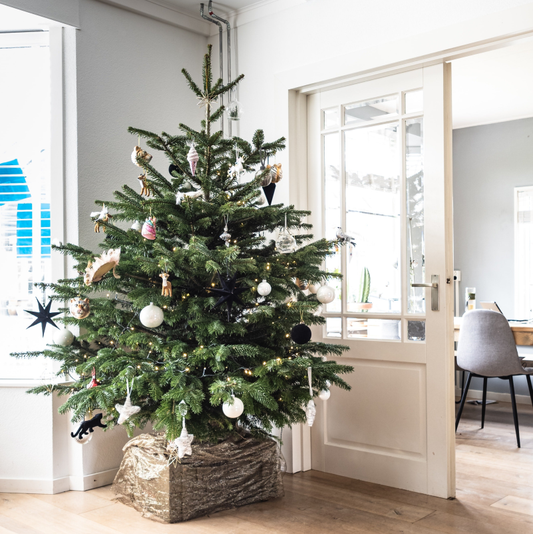 Christmas Trees - Imported Nobilis Real Trees - bookings open