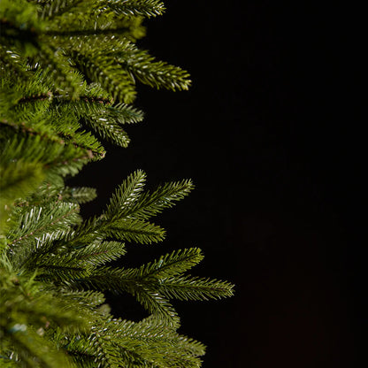 Christmas Tree - 2,4m EDG Enzo de Gasperi