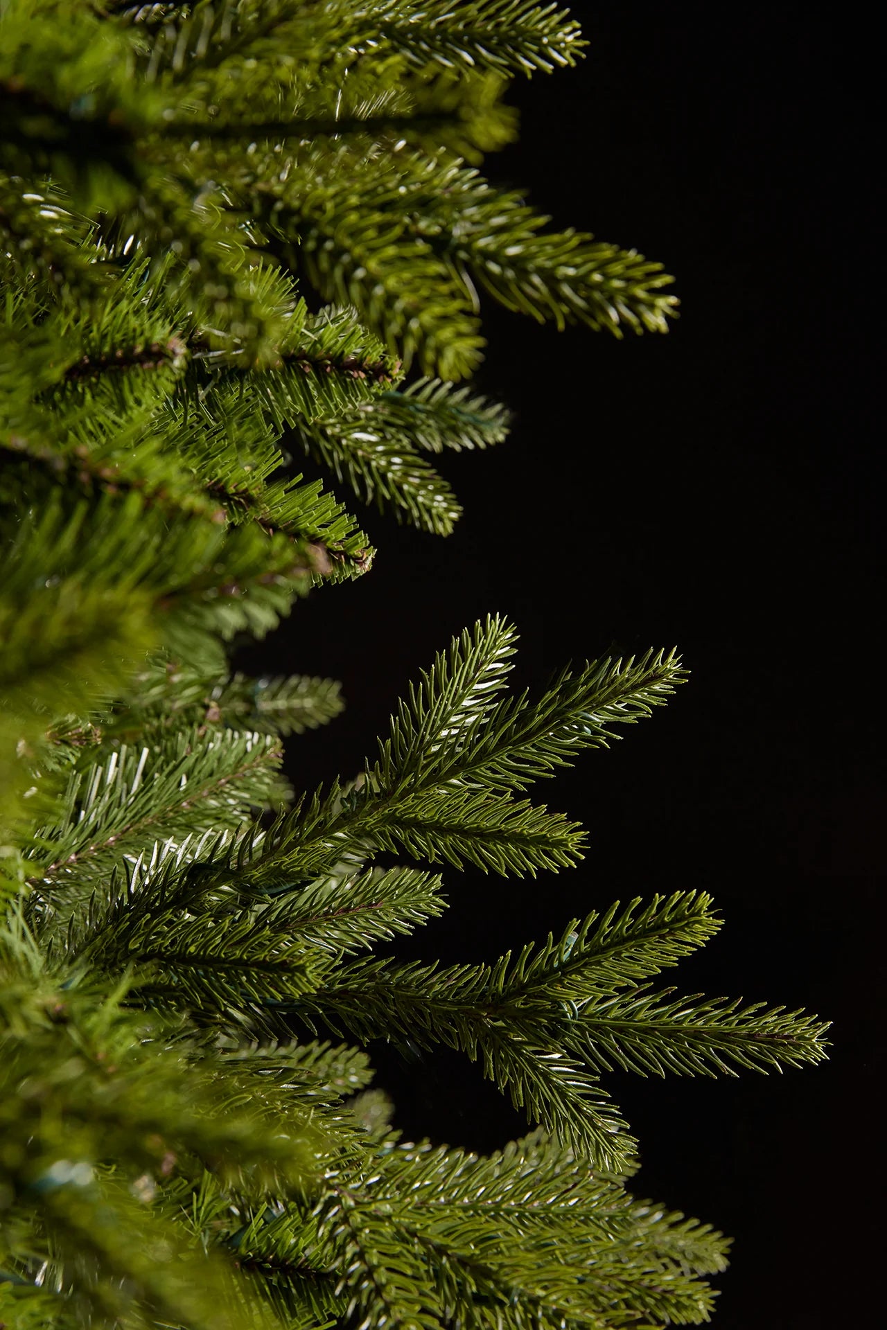 Christmas Tree - 1,8m EDG Enzo de Gasperi